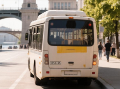 В Ростове водителю автобуса дали 1 год и 10 месяцев за смерть пенсионерки