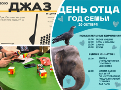 Собираем Кубик Рубика, отмечаем День отца и слушаем джазовый концерт: куда пойти в Ростове на этой неделе
