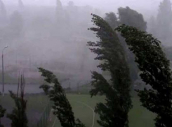 В Ростове-на-Дону ветер усилится до 18 м/с