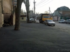 Во время ремонта дороги в Ростове рабочие «закатали» дерево в асфальт 