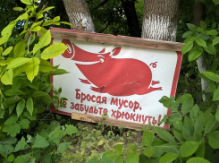 Ростовский облсуд сохранил «зеленую зону» на пересечении проспекта Шолохова и улицы Зеленой