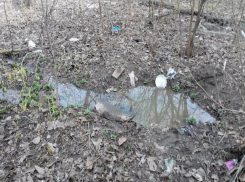 Канализационные отходы преградили путь к подъезду жителям Ростова