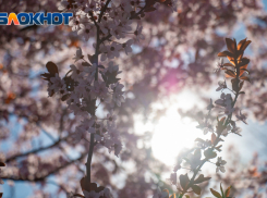 В Ростове в среду будет тепло и солнечно