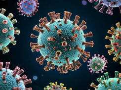 В психинтернате Ростовской области ввели карантин из-за норовируса