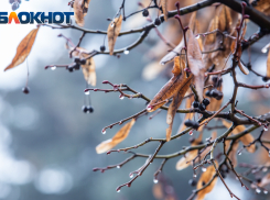 Заморозки до -8 градусов ожидаются в Ростове в среду