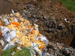 В Ростове появятся места для уничтожения продуктов, которые попали под санкции