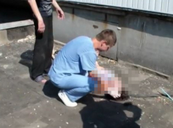 Развешивающий белье на балконе мужчина погиб, упав с высоты 9-го этажа в Ростовской области