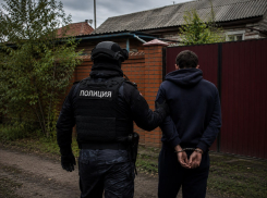 В Ростовской области парень избил мужчину, угрожал убить подростка и украл колонку за 16 тысяч рублей