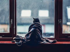 Солнце будет отчаянно пробиваться сквозь дождливые тучи, согревая своими лучами жителей Ростова