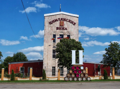 Признать банкротом за крупный долг потребовали ростовский завод «Цимлянские вина»