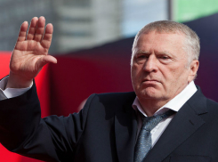 Владимир Жириновский решил баллотироваться на выборах в Ростовской области