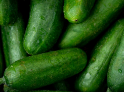 ЦБ объяснил рост цен на огурцы в Ростовской области