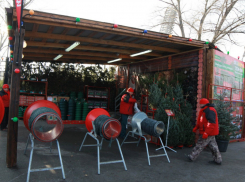 В Ростове откроются 30 елочных базаров