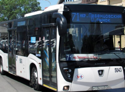 Бастрыкин потребовал доклад после гибели выпрыгнувшей из автобуса девочки в Ростове