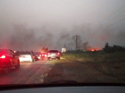 Под станицей Романовской в Ростовской области пылает километр камыша