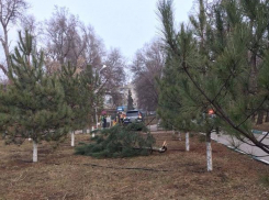 Пьяная блондинка на дорогой иномарке протаранила детскую площадку в Ростовской области