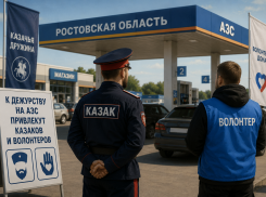 В Ростовской области отменят штрафы для водителей, стоящих в очередях за бензином