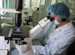 Опасный энтеровирус скосил полсотни человек в Ростовской области