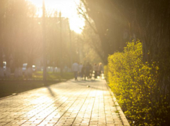 Солнечное лето вернется в Ростов на этой неделе