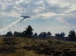 Губернатор Ростовской области назвал причину лесного пожара в Усть-Донецком районе