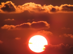 Аномальная жара ожидается в Ростовской области