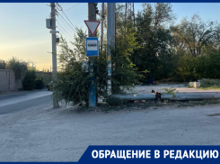 Нерадушный прием: туристы пожаловались на отсутствие остановки возле станции Первомайская