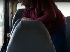 Неожиданную битву с эпидемией гриппа в автобусах Ростова показали на видео