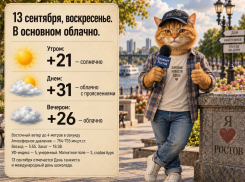 До +31 прогреется воздух в Ростове 13 сентября