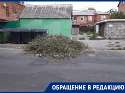 Ростовчанин пожаловался, что площадку для мусорных контейнеров не убирают