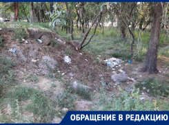 «Стыдно перед гостями города»: ростовчанина возмутили горы мусора на левом берегу Дона