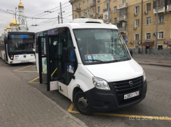 В Ростове «Ипопат-Юг» внесли в реестр недобросовестных поставщиков