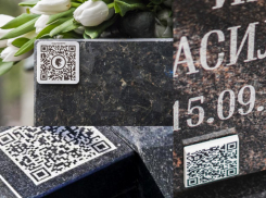 IT-компания из Ростова-на-Дону создаст первое цифровое нейро-кладбище 