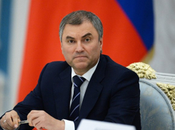 Торжественную клятву для получения гражданства России обсудили в Госдуме