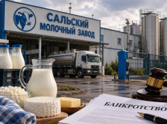 Старейший молзавод Дона оказался под угрозой банкротства: банк требует почти 28 млн рублей