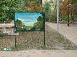 Вандалы, уничтожающие новый сквер, вызвали острое чувство стыда у ростовчан 