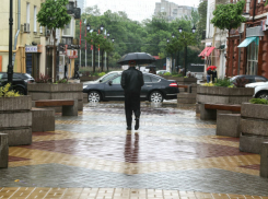 Тропическим городом сделает Ростов хитрая природа на этой неделе