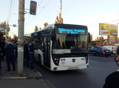 В Ростове более 200 автобусов остановили из-за пассажиров и водителей без масок