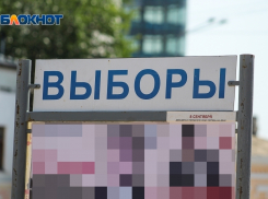 Стало известно, сколько жителей Ростовской области уже проголосовали на выборах