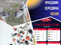 Учимся рисовать тушью, угощаем безгорбых верблюдов и празднуем середину осени: куда пойти в Ростове на этой неделе