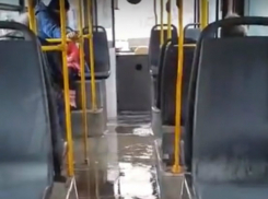 Оснащенный бесплатным «душем с бассейном» автобус Ростова удивил горожан на видео