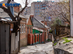 Ростовская область получит на комплексное развитие села более 678 млн рублей