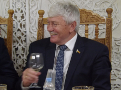 Виноделы Ростовской области нашли способ, как возродить отрасль в регионе