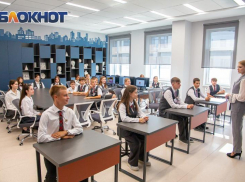 Пропасть в образовании: почему донские учителя уходят в репетиторство