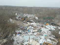 Под Ростовом территорию около будущего МЭОК превратили в помойку