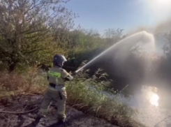 Площадь пожара под Ростовом достигла 1 тыс кв.метров