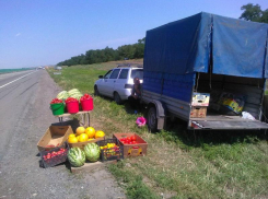 Голубев раскритиковал придорожную торговлю в Ростовской области