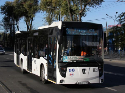 В Ростове 15 автобусных маршрутов на три дня изменят схему движения