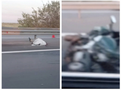 В Ростовской области мотоциклист в страшном ДТП лишился головы