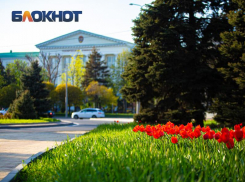 В Ростове ожидается облачная погода без осадков 