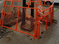 Гильотину для возмутителей спокойствия на городских улицах построили в центре Ростова